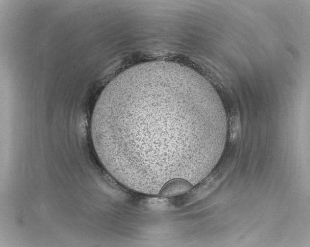 X0000115160279200911171307