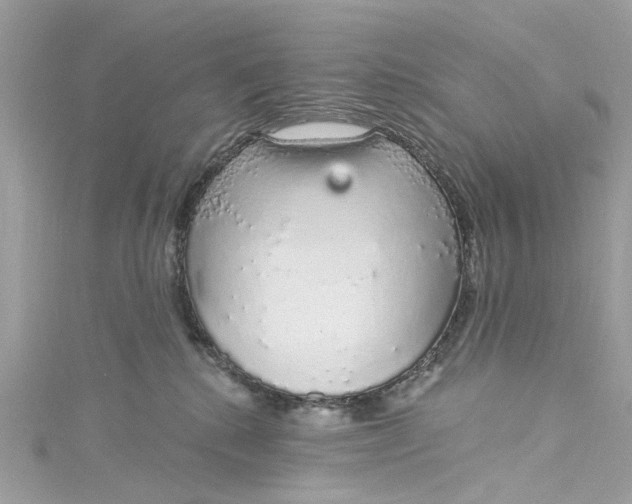 X0000115160280200911171307