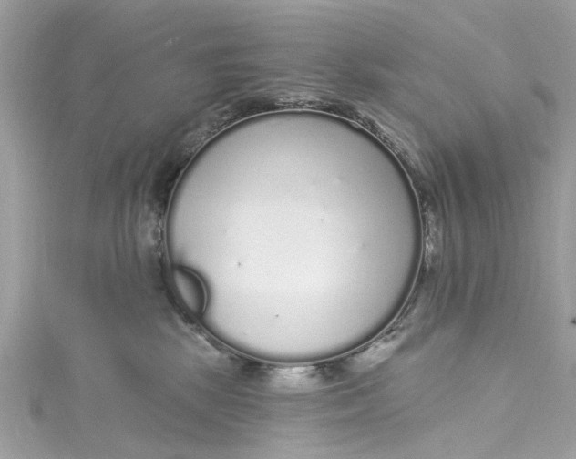 X0000115160281200911171308