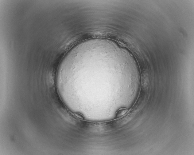 X0000115160282200911171308