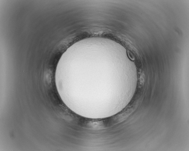 X0000115160283200911171308