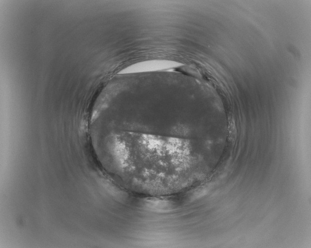 X0000115160284200911171308