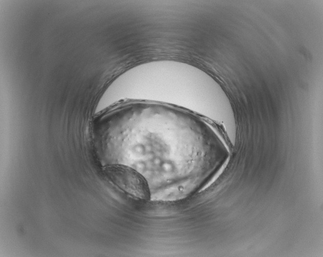 X0000115160286200911171308