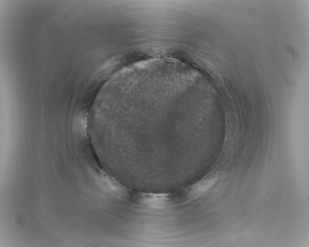 X0000115160288200911171308