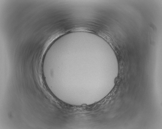 X0000115160289200911171307