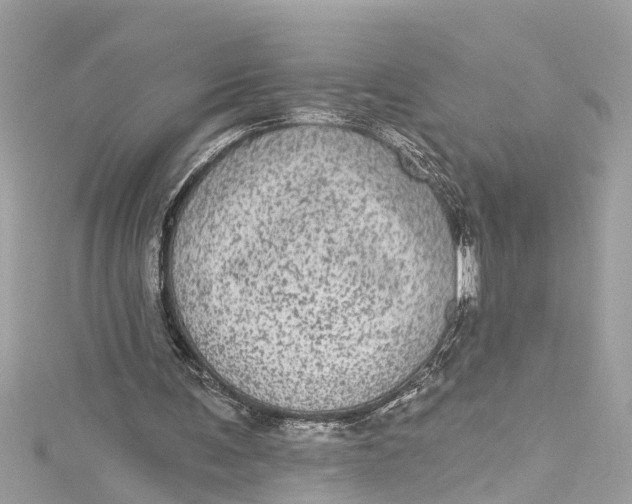 X0000115160291200911171307