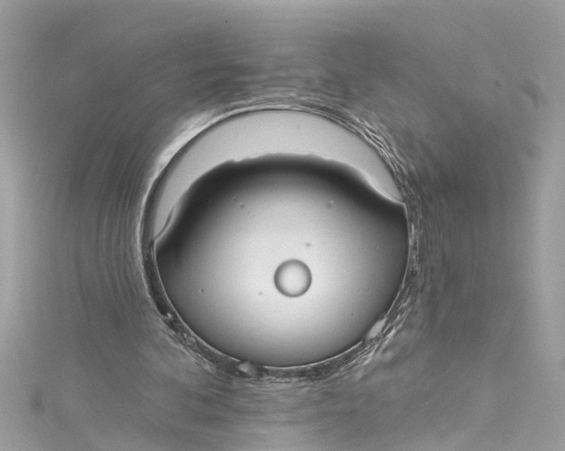 X0000115160292200911171307