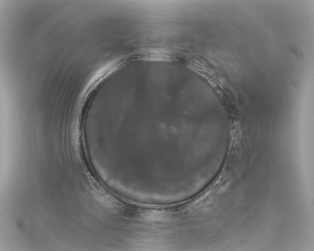 X0000115160293200911171307