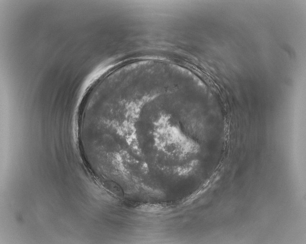 X0000115160294200911171307