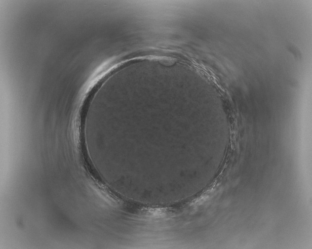 X0000115160295200911171307