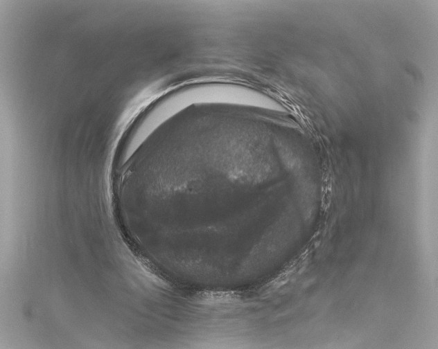 X0000115160296200911171307