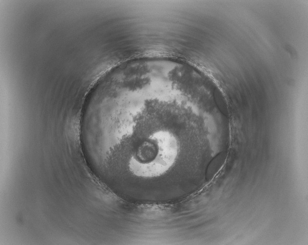 X0000115160297200911171307