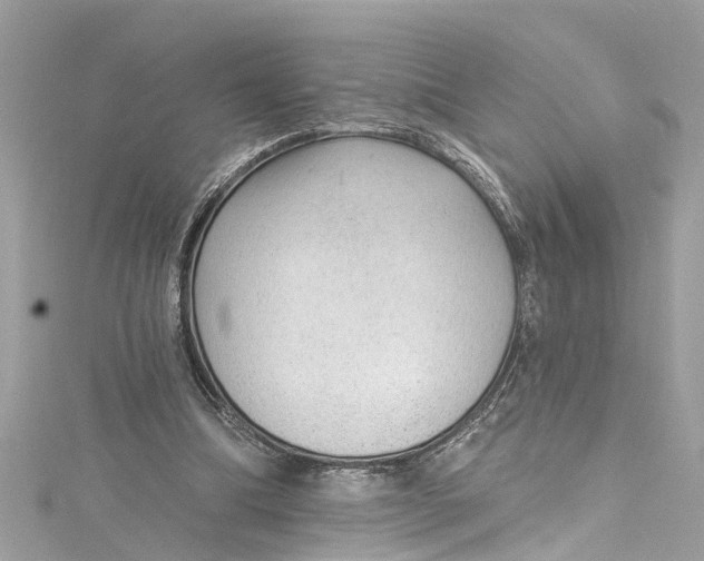 X0000115160298200911171307