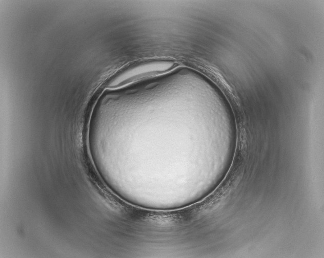 X0000115160299200911171307