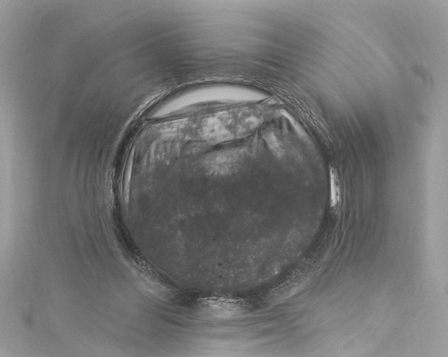 X0000115160300200911171307