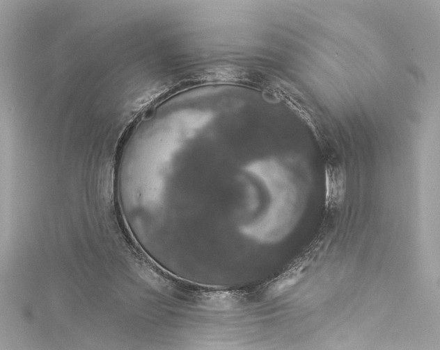 X0000115160301200911171307