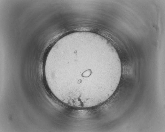 X0000115160302200911171307