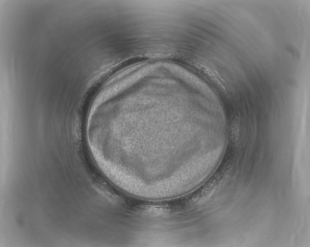 X0000115160303200911171307