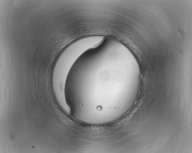 X0000115160305200911171307