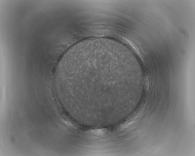 X0000115160307200911171307