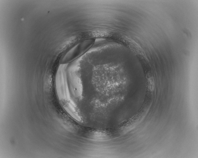 X0000115160308200911171307