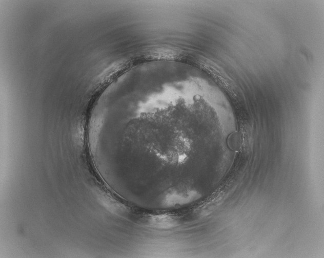 X0000115160309200911171307