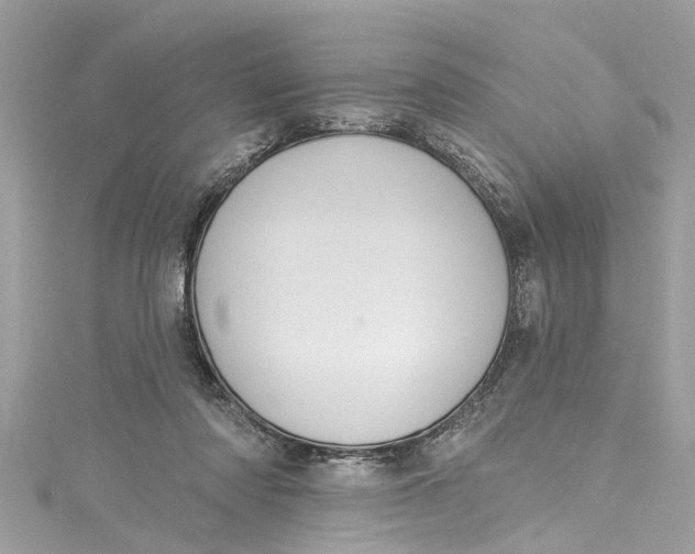 X0000115160310200911171307