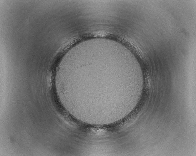 X0000115160311200911171307