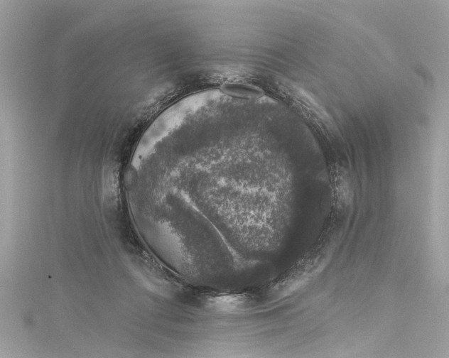 X0000115160312200911171307