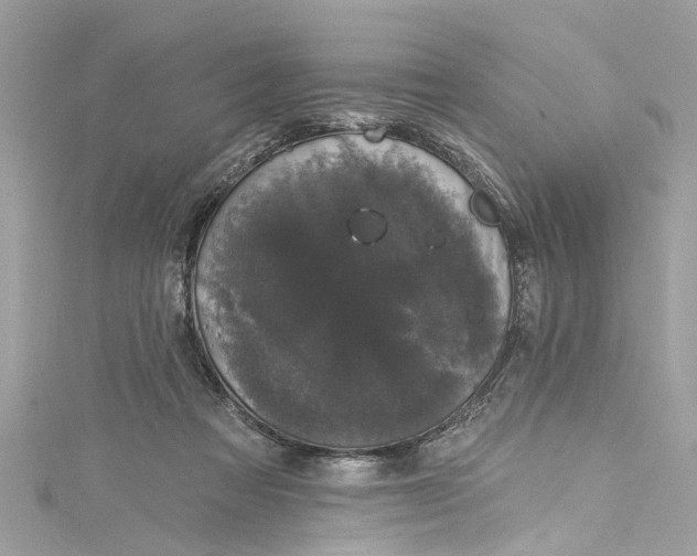 X0000115160313200911171307