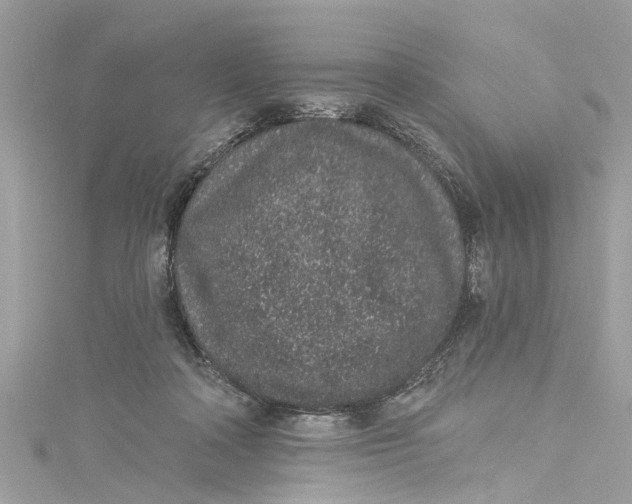 X0000115160314200911171307