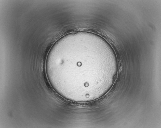 X0000115160315200911171307