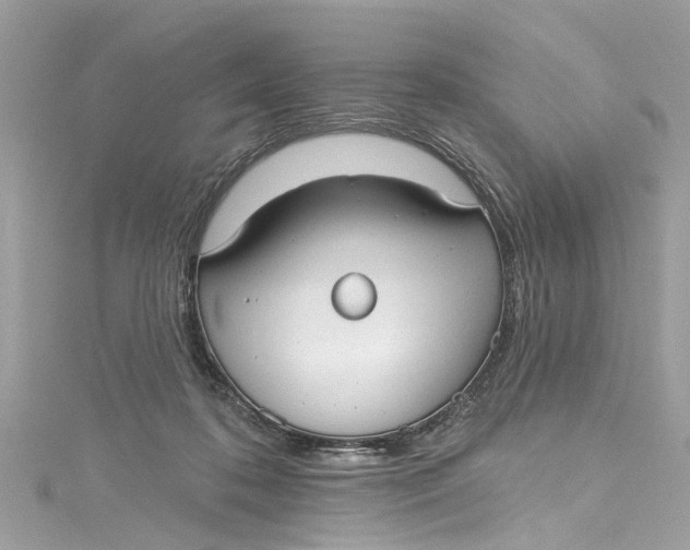 X0000115160316200911171307