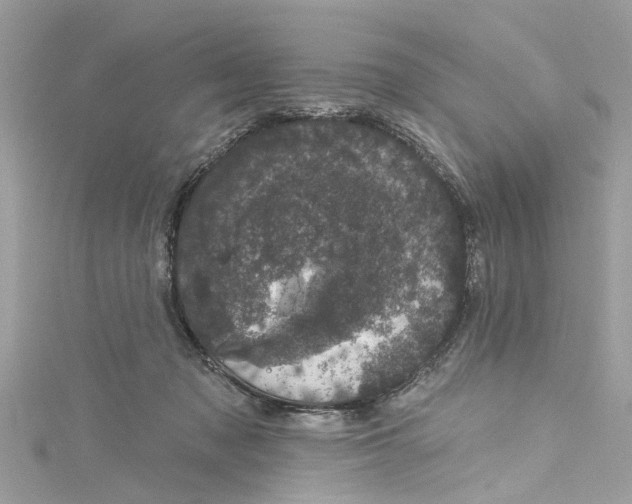 X0000115160317200911171307