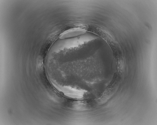 X0000115160320200911171307