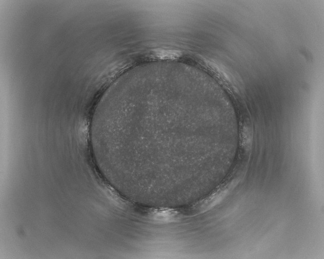 X0000115160321200911171307