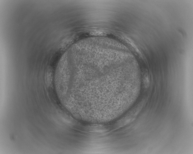 X0000115160322200911171307