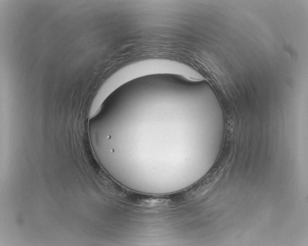 X0000115160323200911171307