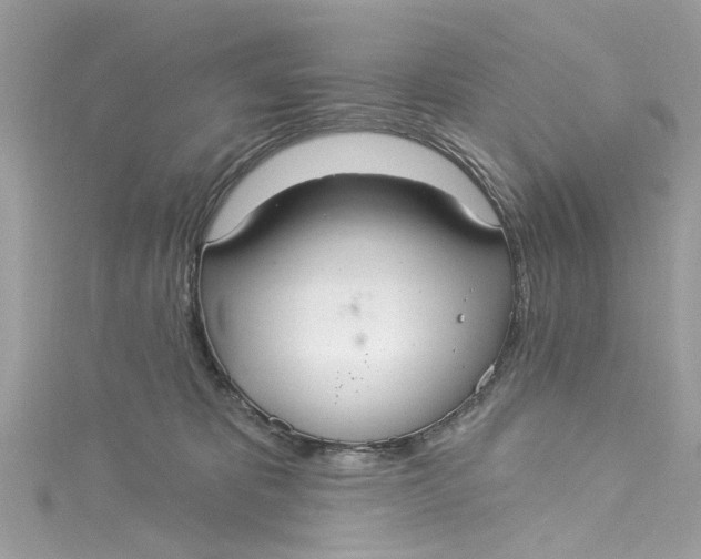 X0000115160325200911171307