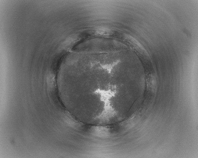 X0000115160327200911171307