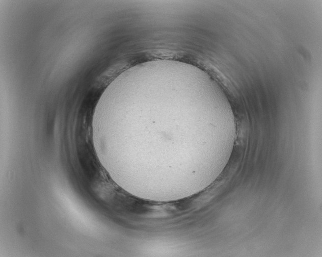 X0000115160334200911171306