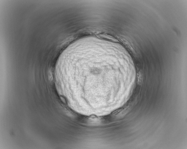 X0000115160335200911171306