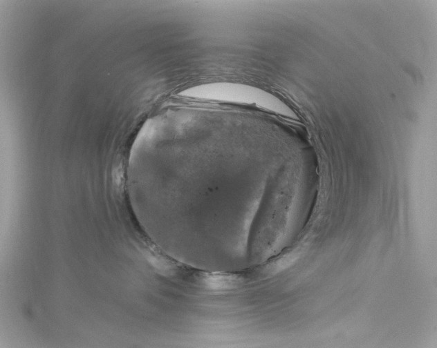 X0000115160336200911171306