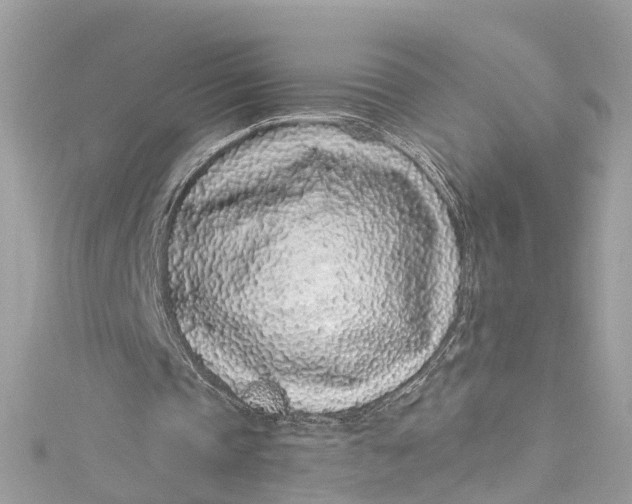 X0000115160337200911171306