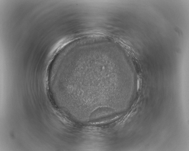 X0000115160339200911171306