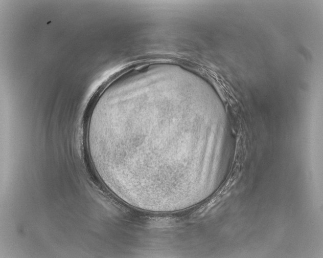 X0000115160342200911171306