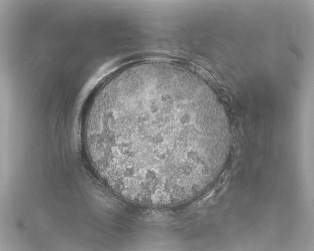 X0000115160343200911171306