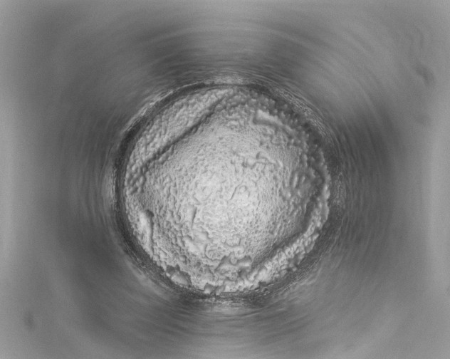 X0000115160347200911171306