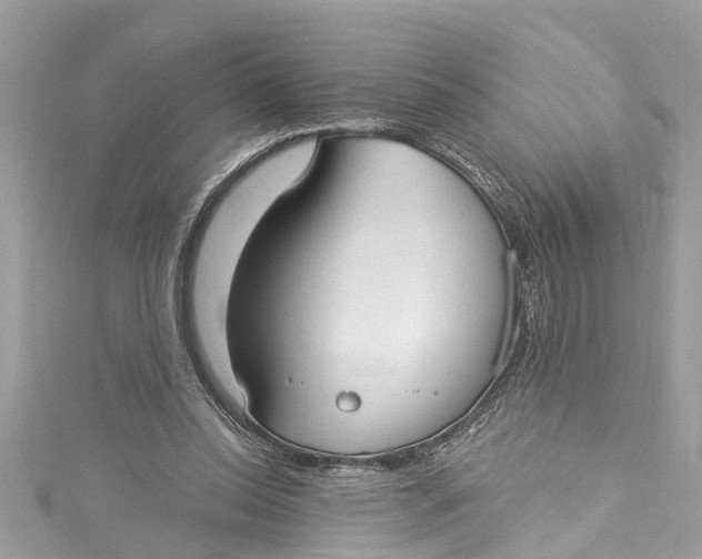 X0000115160350200911171306