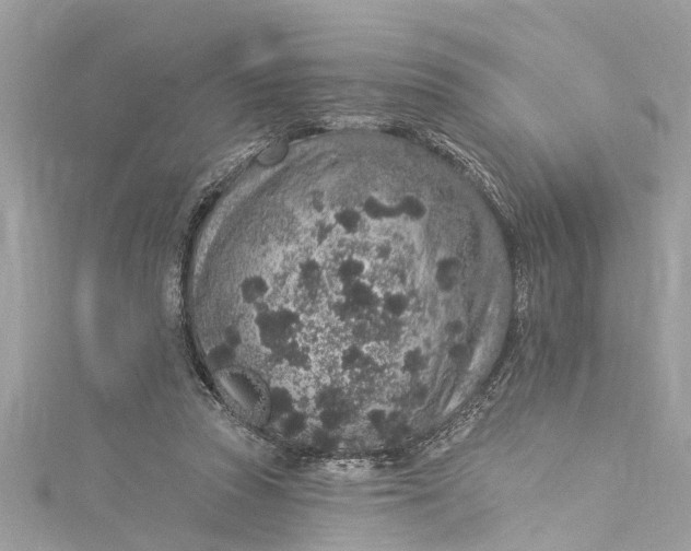 X0000115160353200911171306